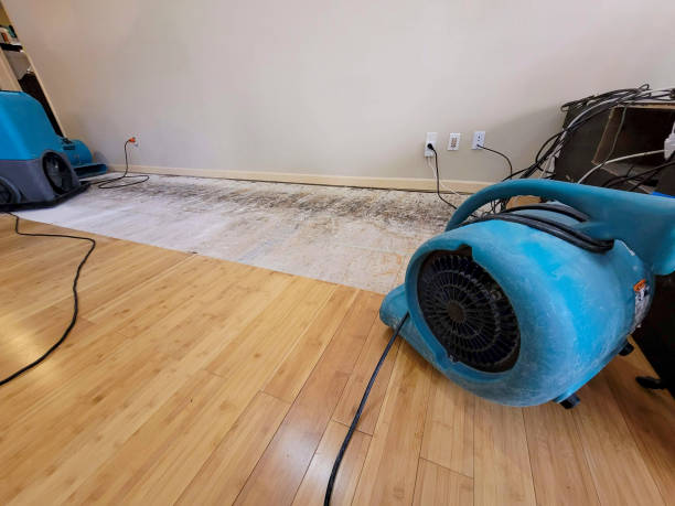 Professional Sewage Cleanup technician working in Garrettsville, OH